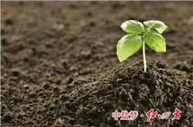 红色劲典：土壤有机质，让土壤更有活力！
