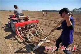 小麦种植户最关心的是什么？