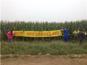 红色劲典玉米缓释肥，丰收有保障！