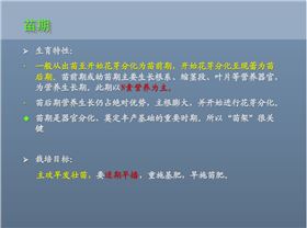 油菜苗期氮肥需求量较高