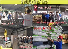 新型肥料厂家内景 新型肥料厂家内景