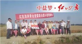 2017年5月28号，在无为爱民种业周财宝及汤沟镇网点经销商刘祖民的组织下，种植大户们相聚在无为县汤沟镇，在此见证红色劲典肥料的长效高产壮苗的绝佳效果