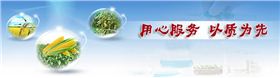 红色劲典缓控释肥厂家用心服务以质为先