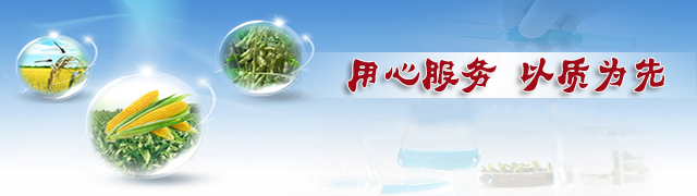 红色劲典缓控释肥用心服务,以质为先 红色劲典缓控释肥用心服务,以质为先