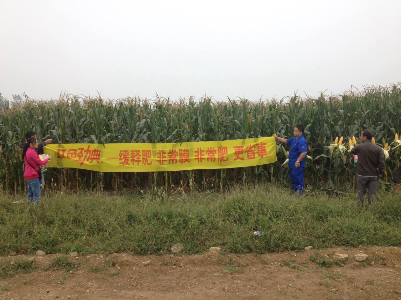 红色劲典玉米缓释肥观摩会