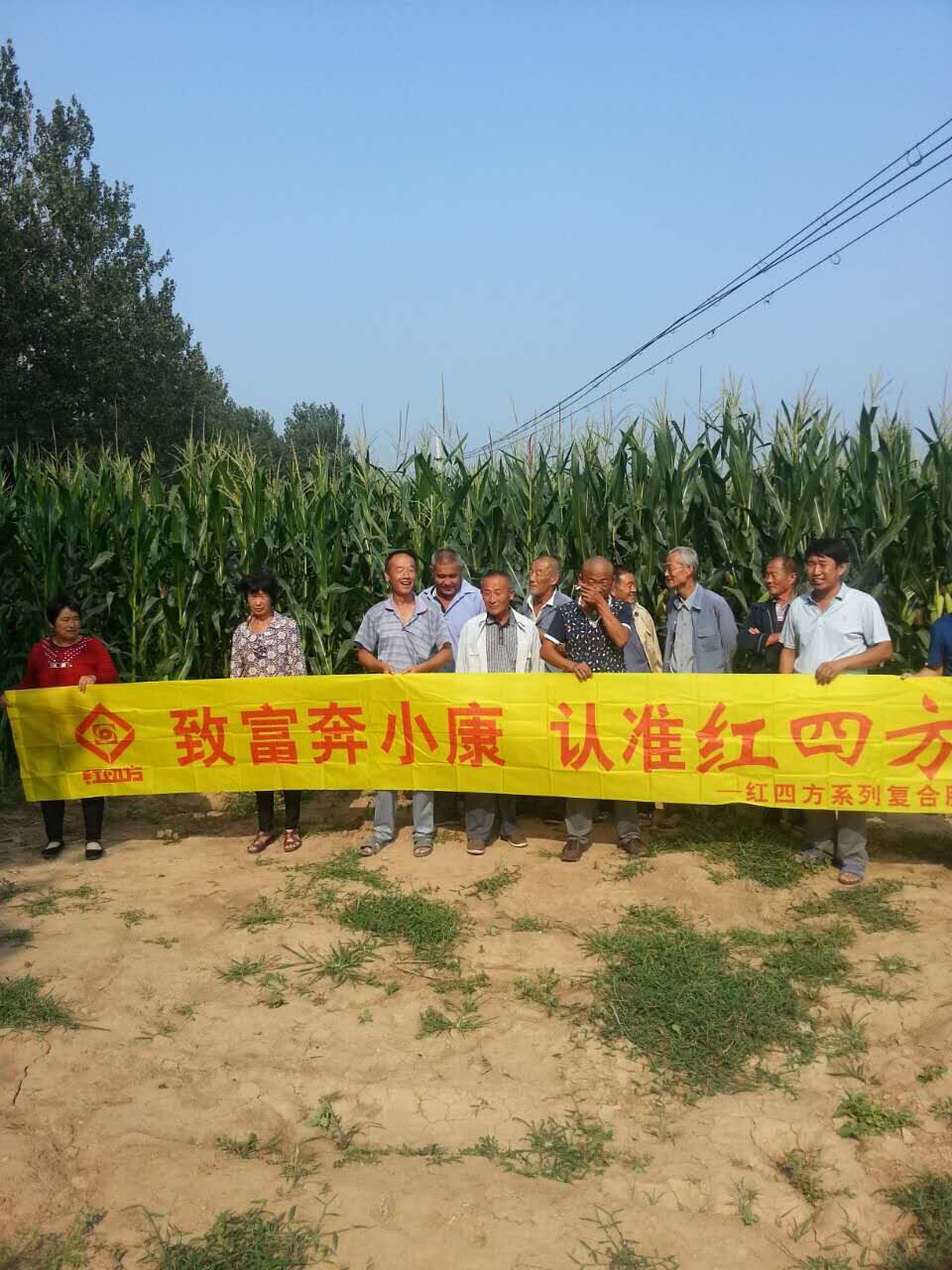 红色劲典缓控释肥料示范观摩会现场 红色劲典缓控释肥料示范观摩会现场