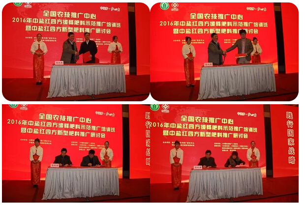 现场,分别与全国农技推广中心、京东农资、隆平高科以及部分经销商代表签订战略合作协议。 现场,分别与全国农技推广中心、京东农资、隆平高科以及部分经销商代表签订战略合作协议。