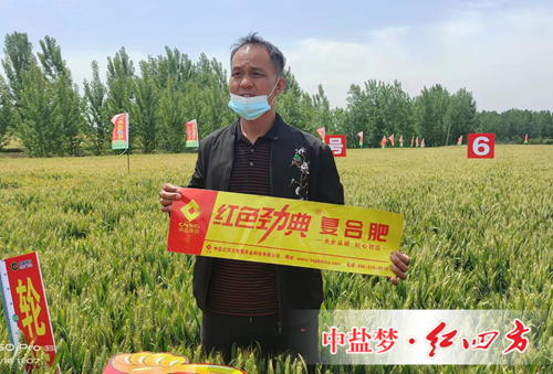 施用红色劲典复合肥 丰收故事说不停